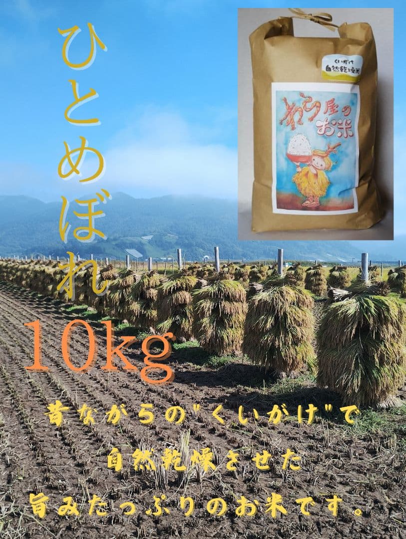 特別栽培米　ひとめぼれ 10kg 自然乾燥米　わら屋のお米