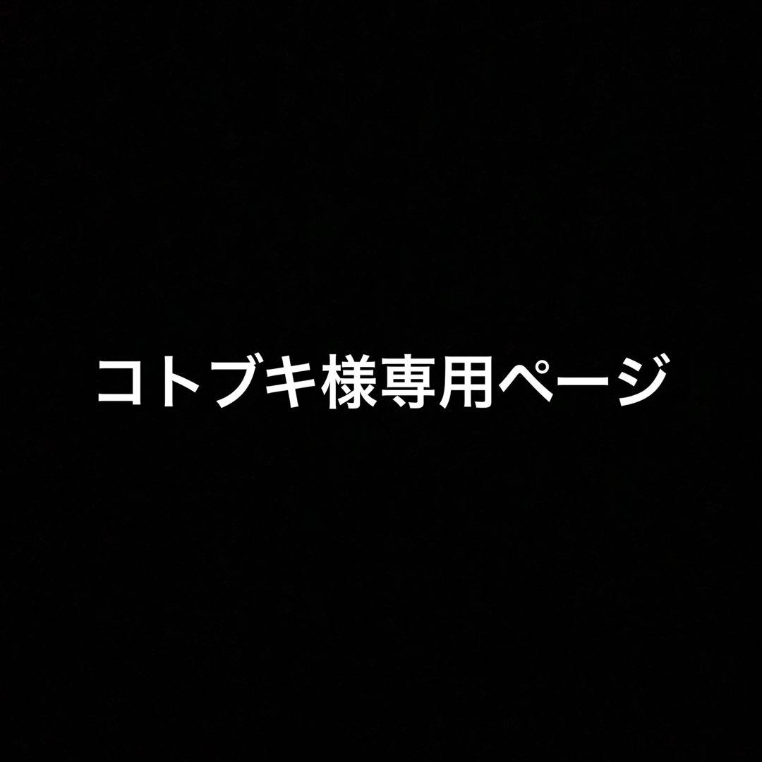 コトブキタジマセフ用セフプレート
