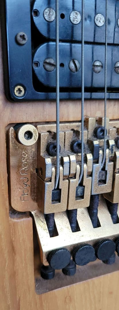 ■Edwardsエドワーズ■Floyd Rose■ESP