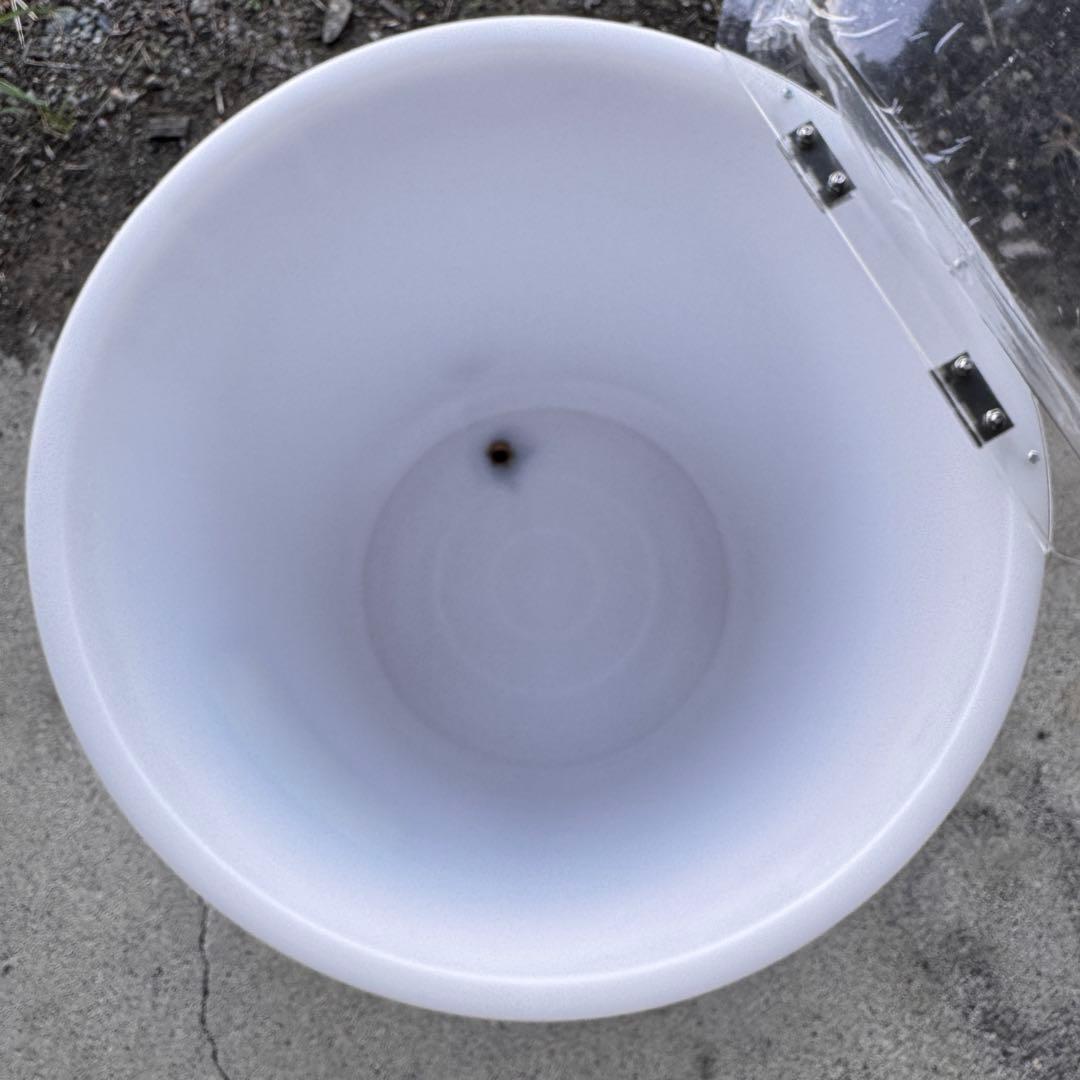 新品未使用　ZIMA　ノベルティ　クーラーボックス　アイスクーラー