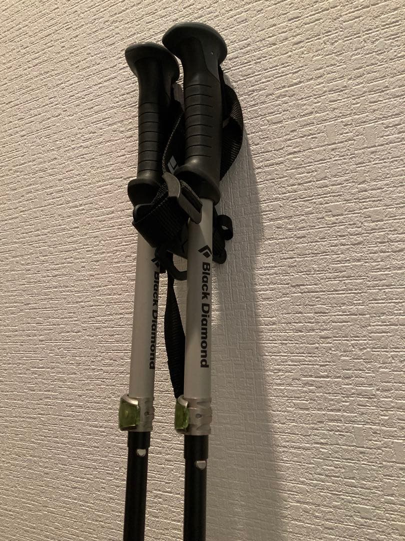 【専用】 compactor スキーポール