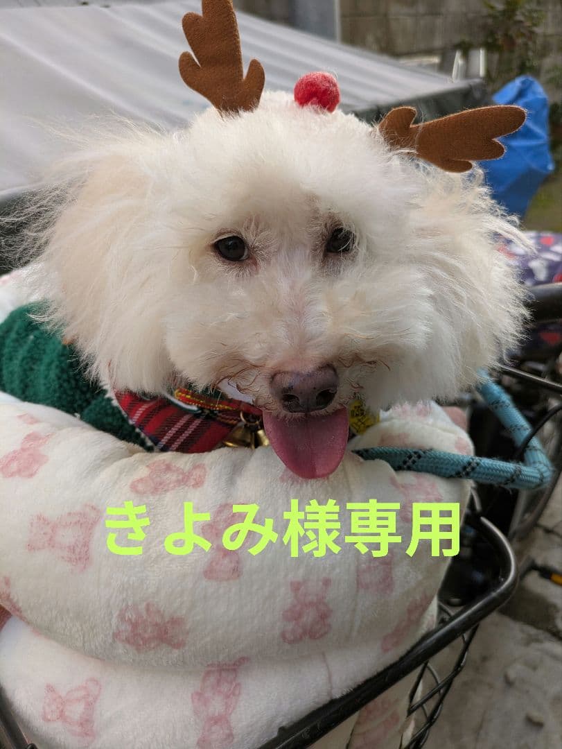 ❤犬服　クークチュール　お纏め4点