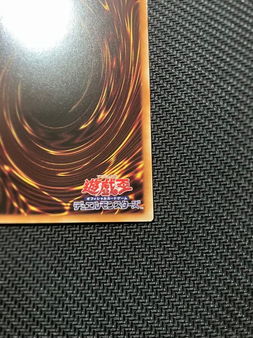 遊戯王 The Fallen The Virtuous　プリシク