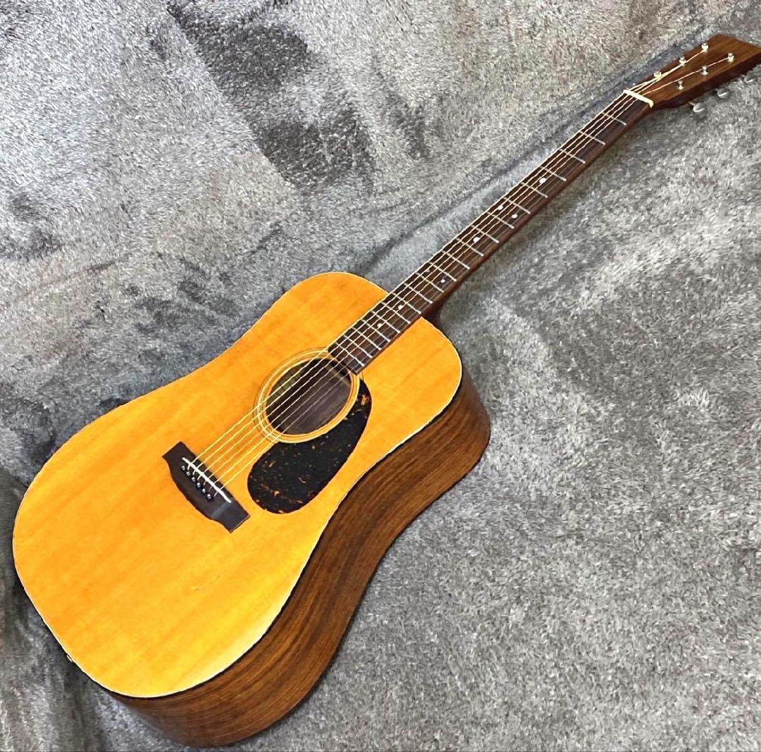 ギター Martin D-21LE MOD
