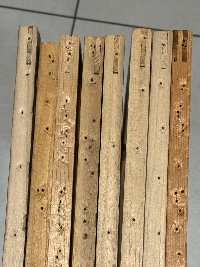 油彩キャンバス木枠F10号×8