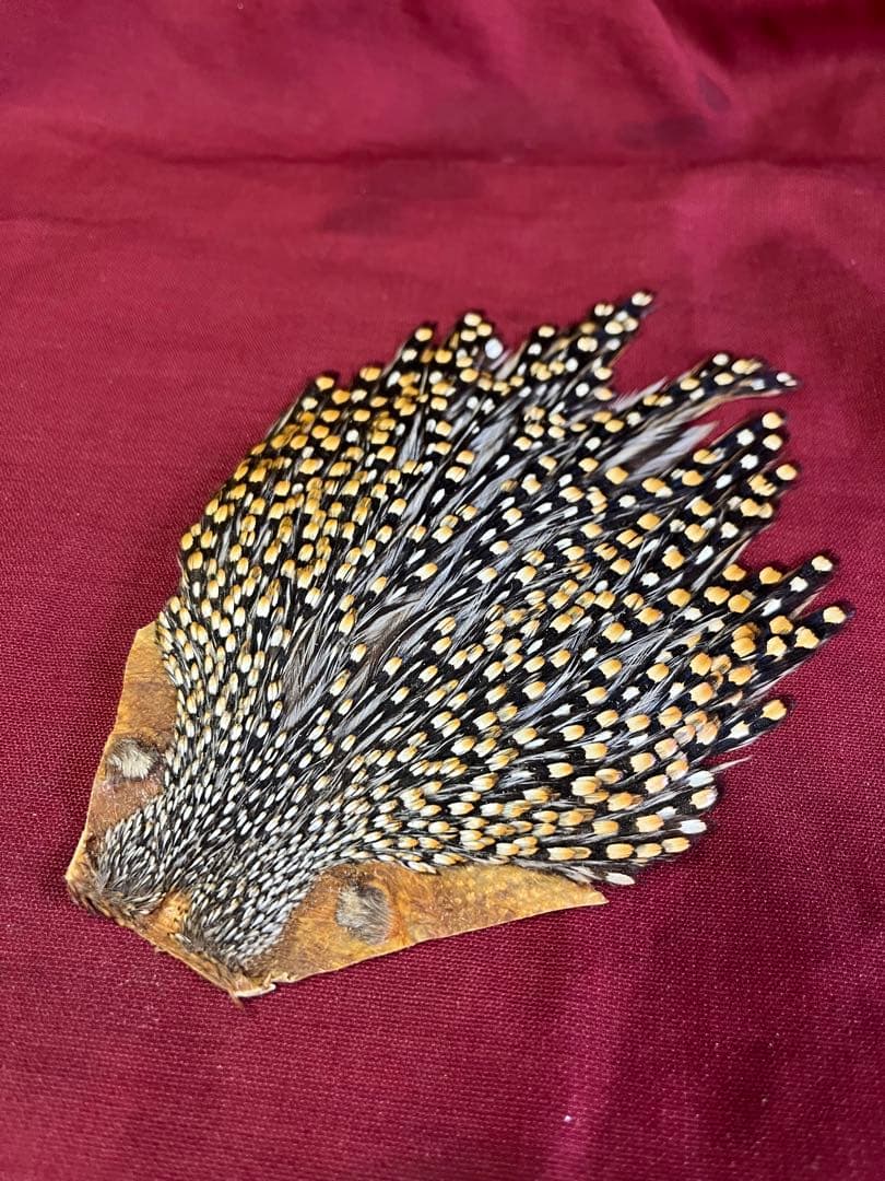 入手困難なジャングルコックです。 これは、すばらしくウエットからサーモンまで