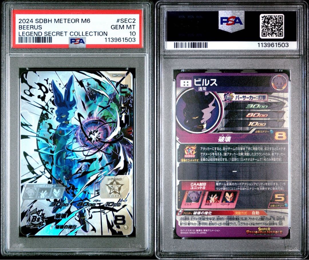 BM1-SEC2 LC ビルス　psa10