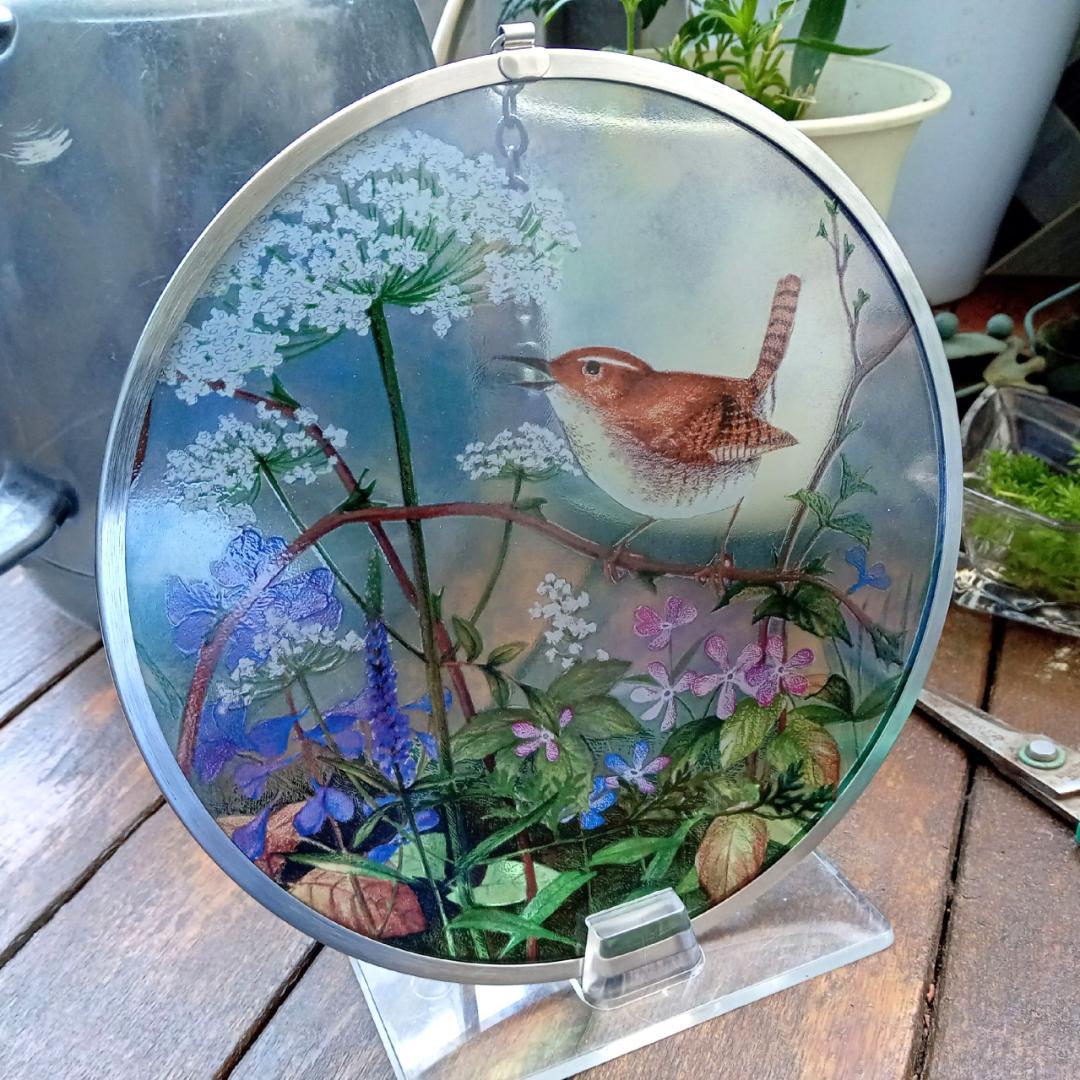 新品 花鳥・アメリカムシクイ スミレ サクラソウ カナダ・ステンドグラス社