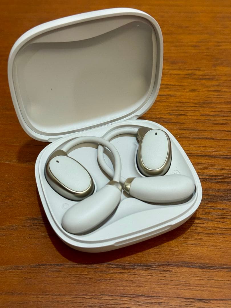 VORMOR (AIワイヤレス翻訳イヤホン)