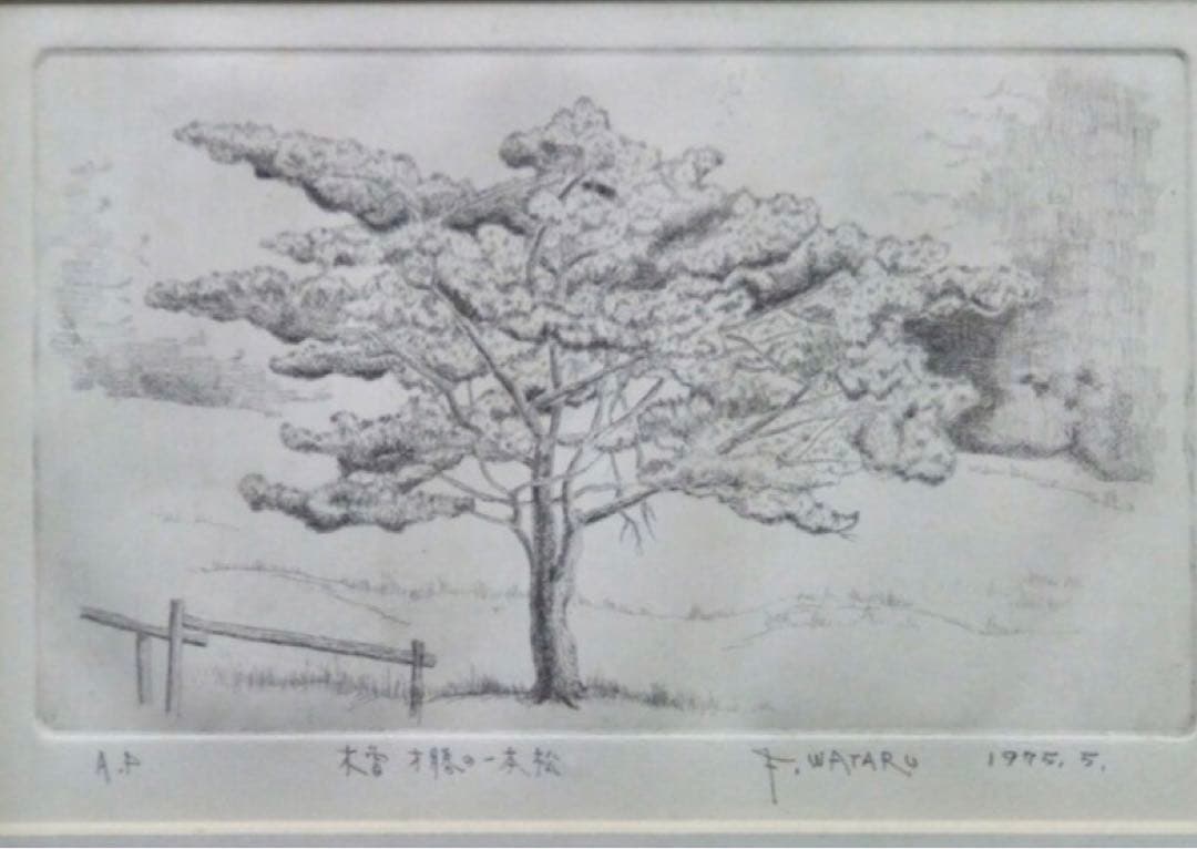 【AP】藤岡亘「木曽才勝の一本松」エッチング 1975年 直筆サイン 額装