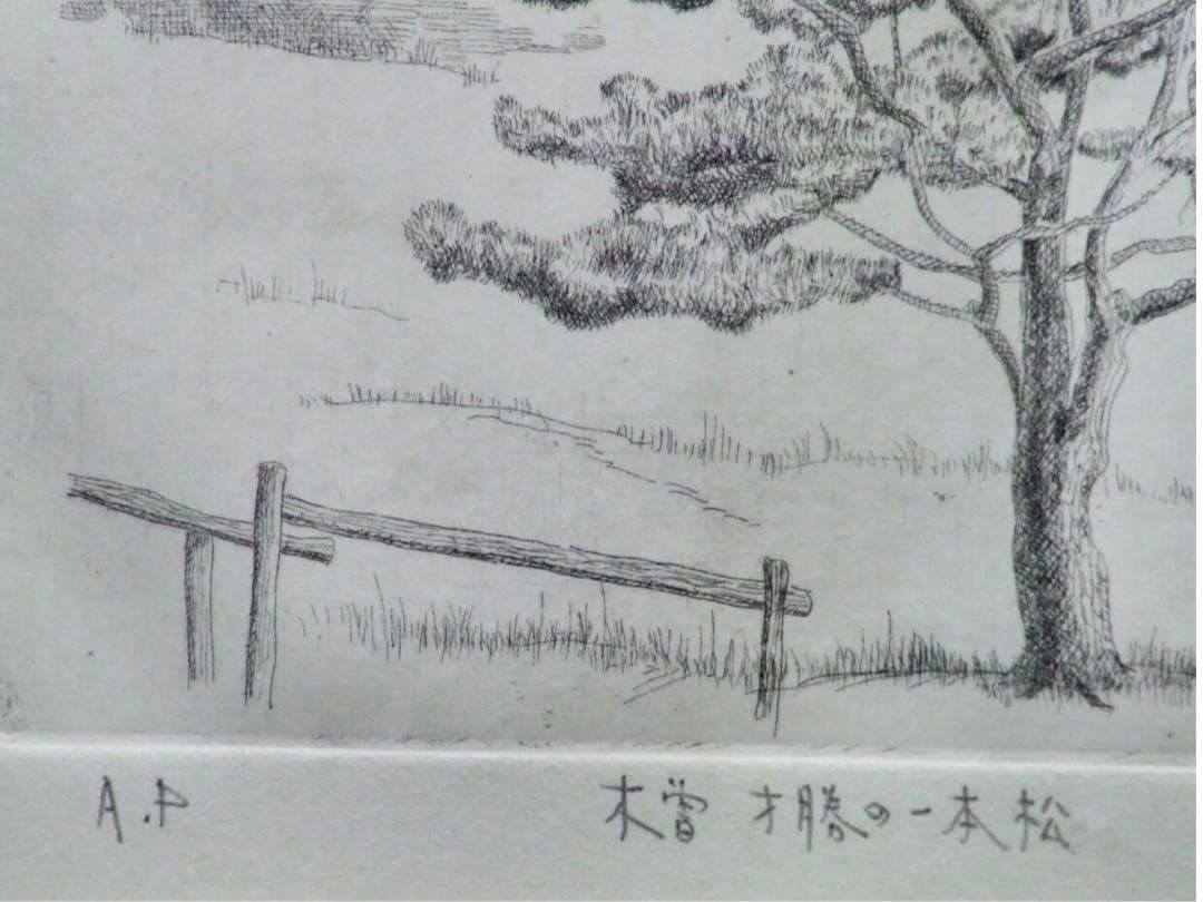 【AP】藤岡亘「木曽才勝の一本松」エッチング 1975年 直筆サイン 額装