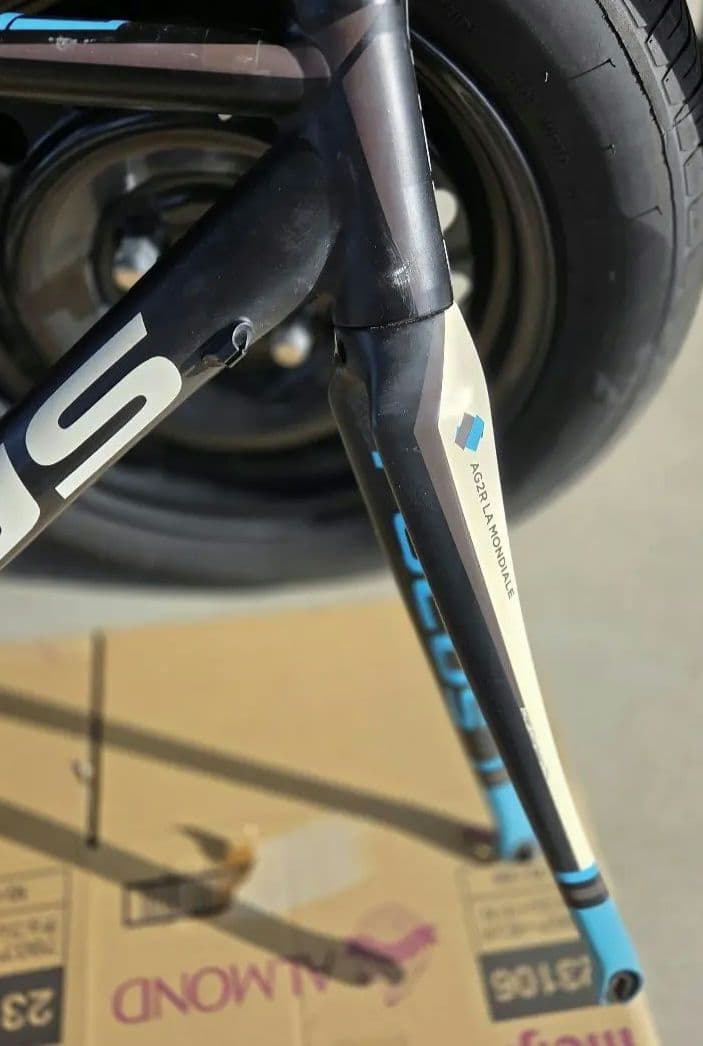 FOCUS CULEBRO 　サイズS　フレーム