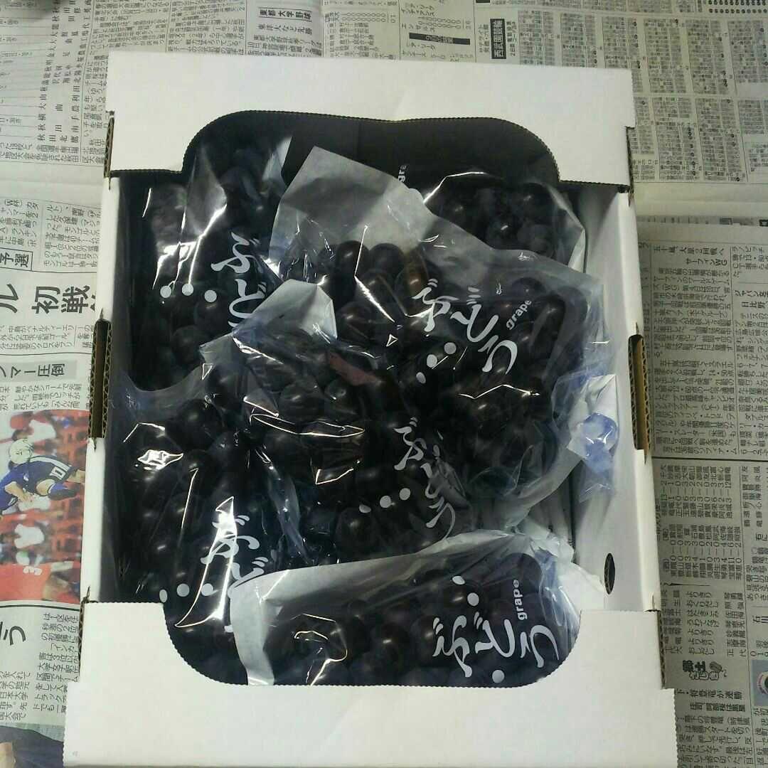 ちょこシャインマスカットご家庭用3kg＋ スチューベン秀品2kg