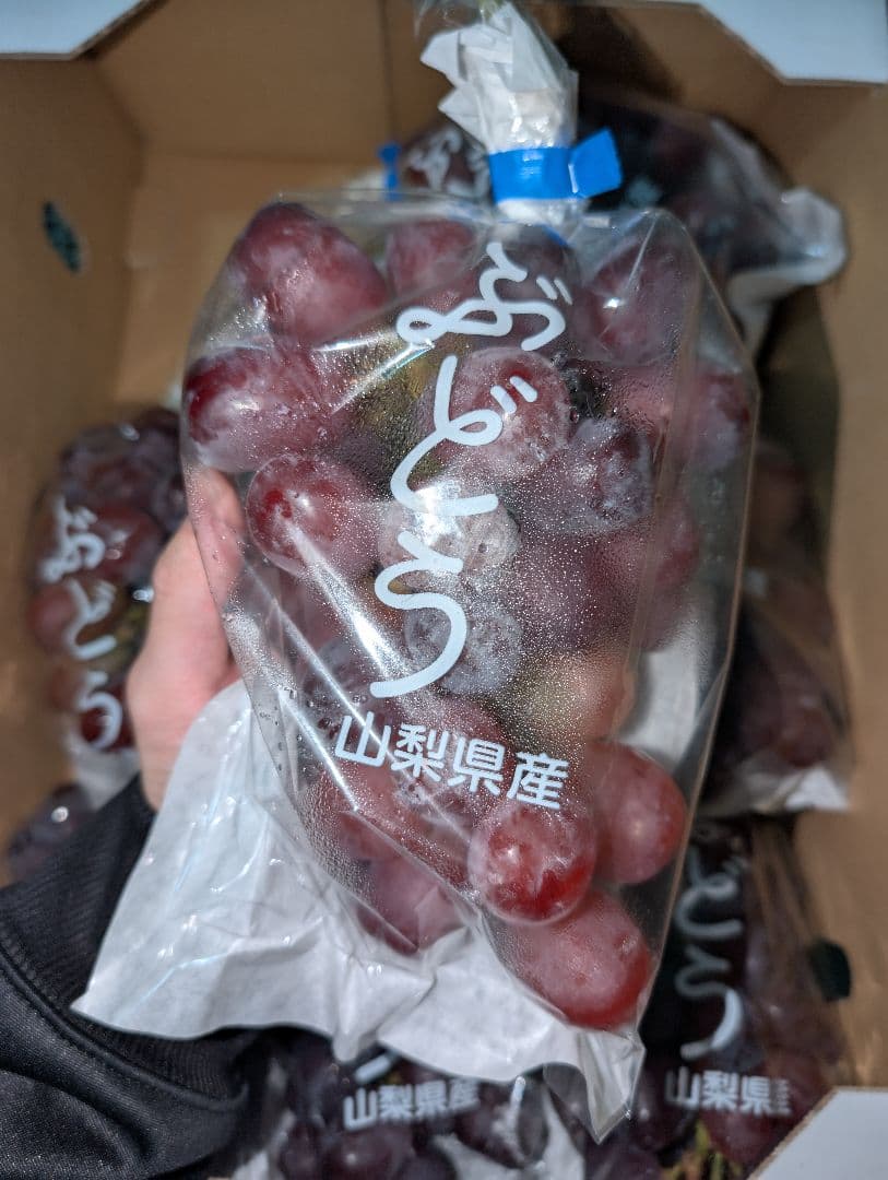 山梨県産ぶどう　富士の輝　8房入り　箱込み約5.5kg