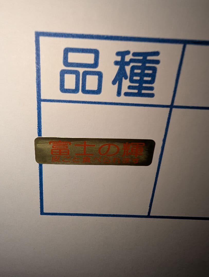 山梨県産ぶどう　富士の輝　8房入り　箱込み約5.5kg