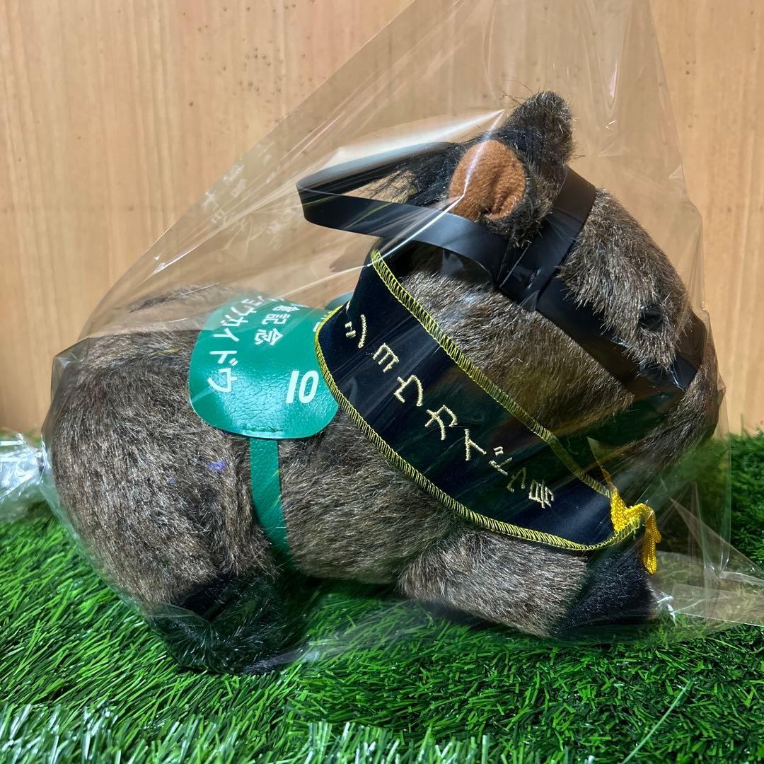 メイショウカイドウ　小倉記念　Sサイズ　競馬　ぬいぐるみ　（小倉三冠レイ付き）