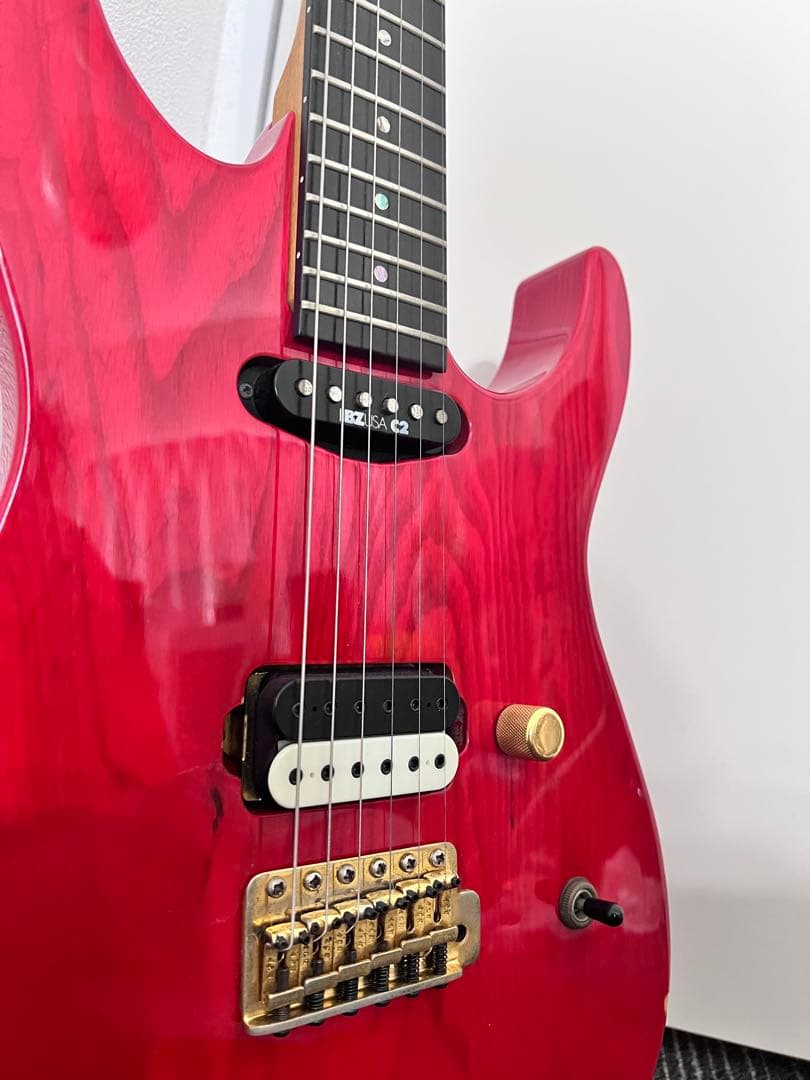 ギター ESP. Electric Guitar