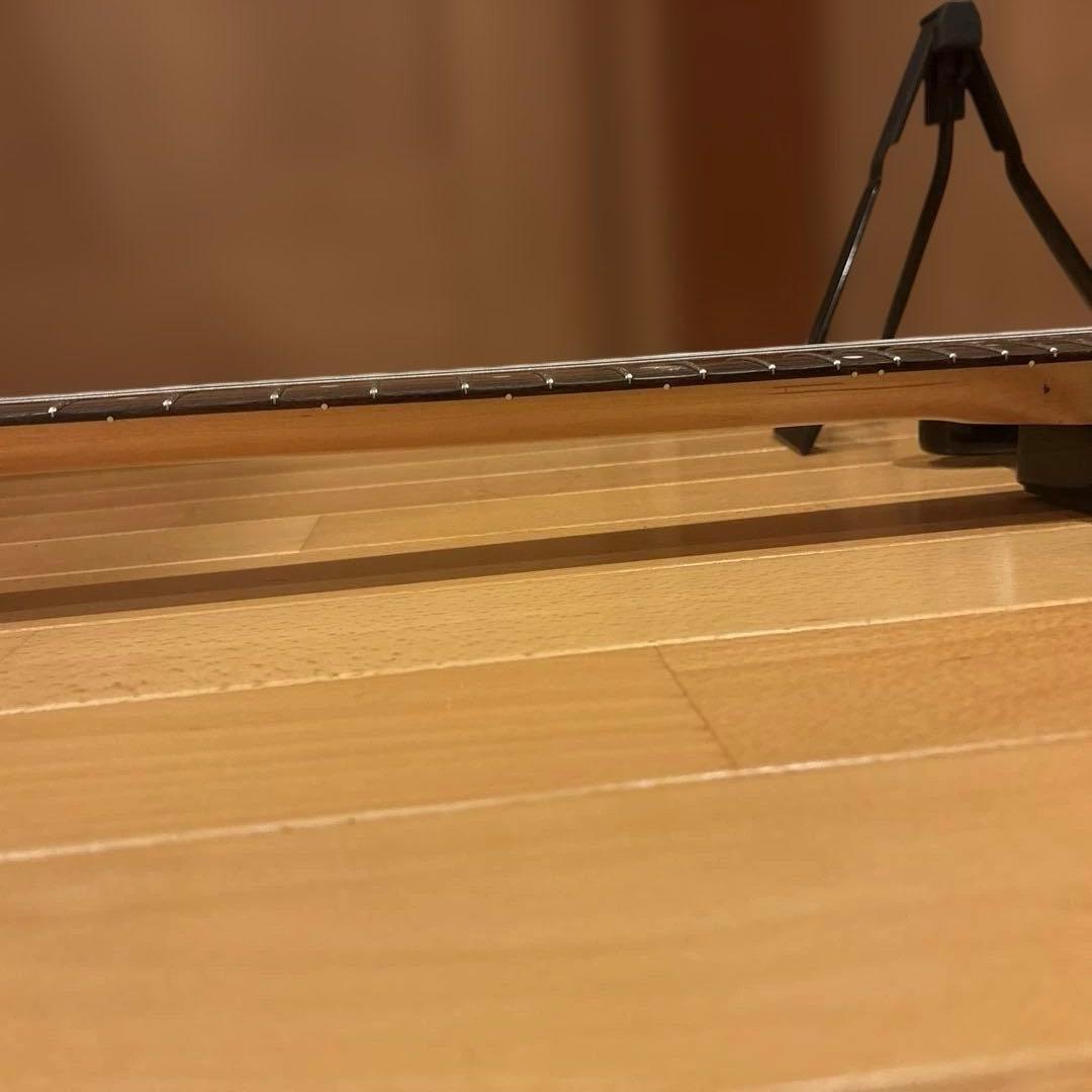 バッカス Bacchus GLOBAL SERIES テレキャスター ケース付