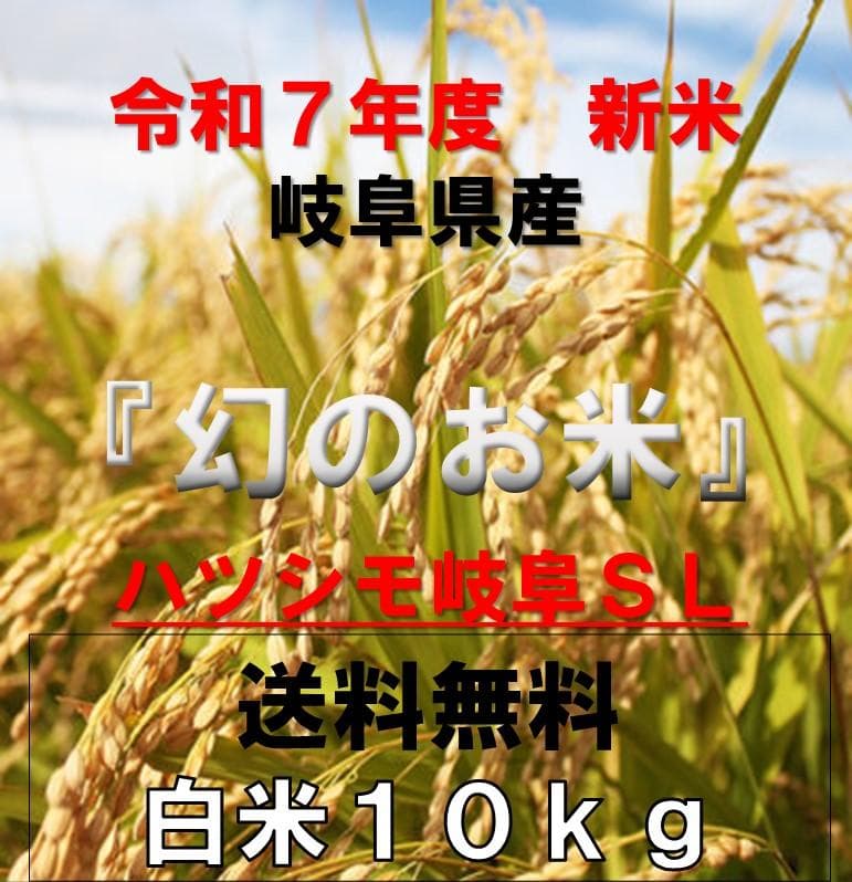 岐阜ブランド米　令和７年度『岐阜ハツシモ』新米　白米(玄米可)10キロ送料無料