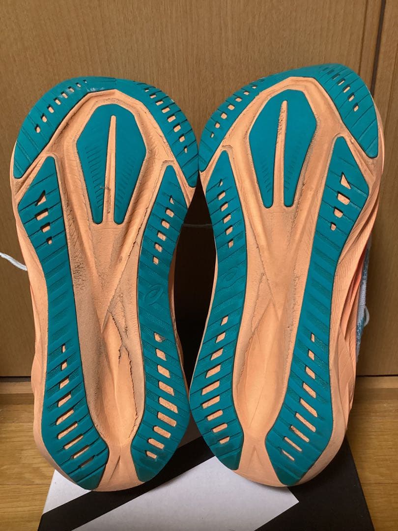 asics アシックス ノヴァブラスト5 メンズ 26.0cm US8