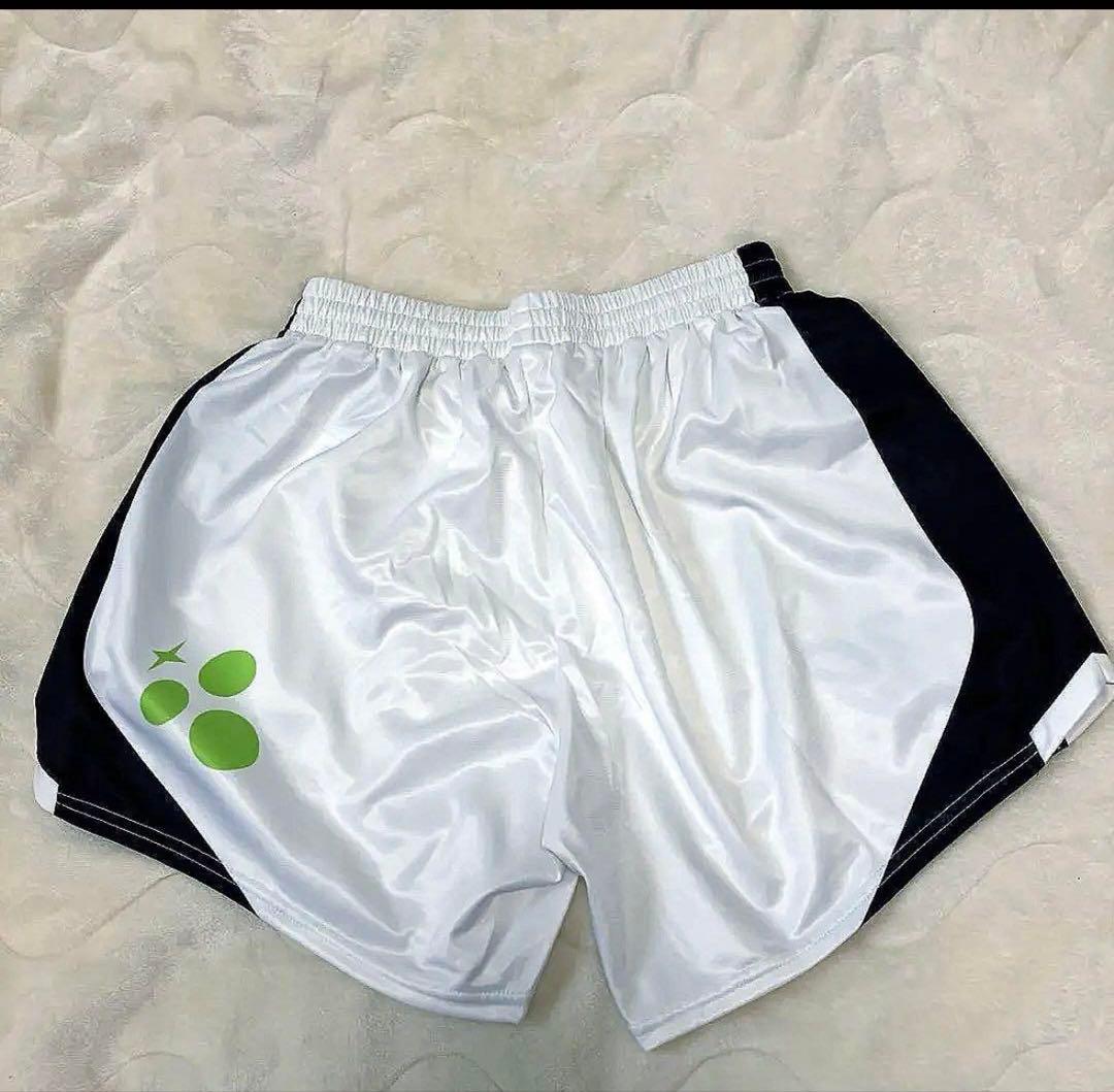 DESCENTE ゲームパンツ　O size