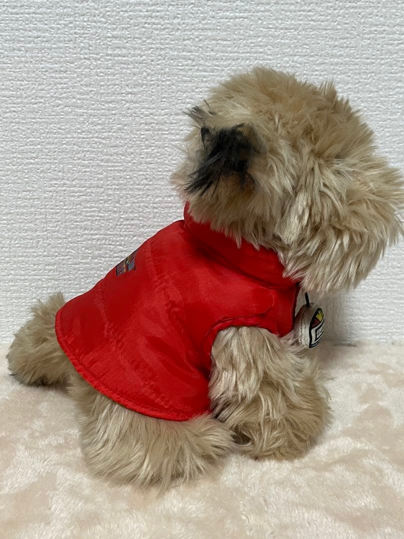 【超希少】USJ BACK TO THE FUTURE アインシュタイン