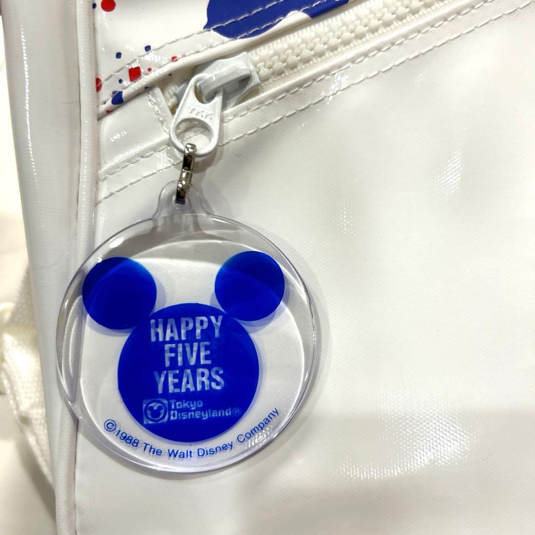 Disneyland five years bag ディズニー5周年記念バッグ