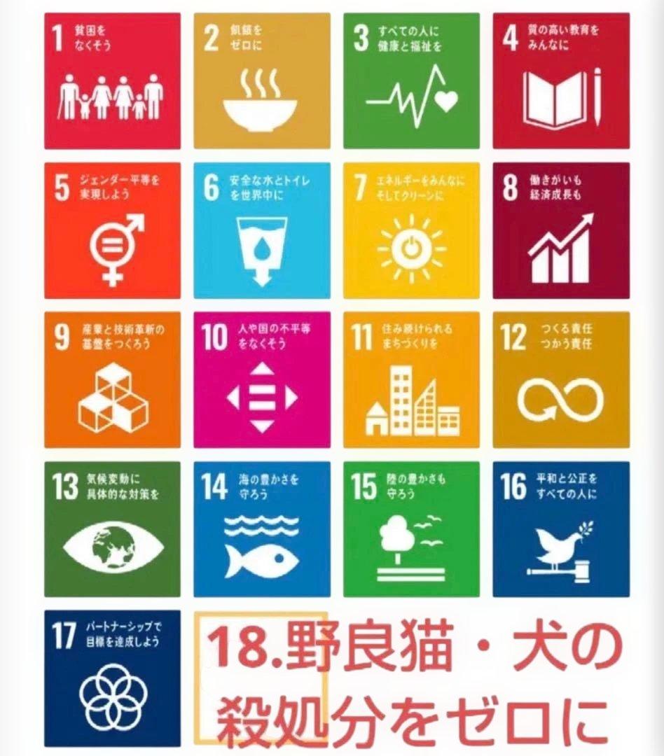 Rin 　ニュートロワイルドレシピ　3種類2袋ずつセット