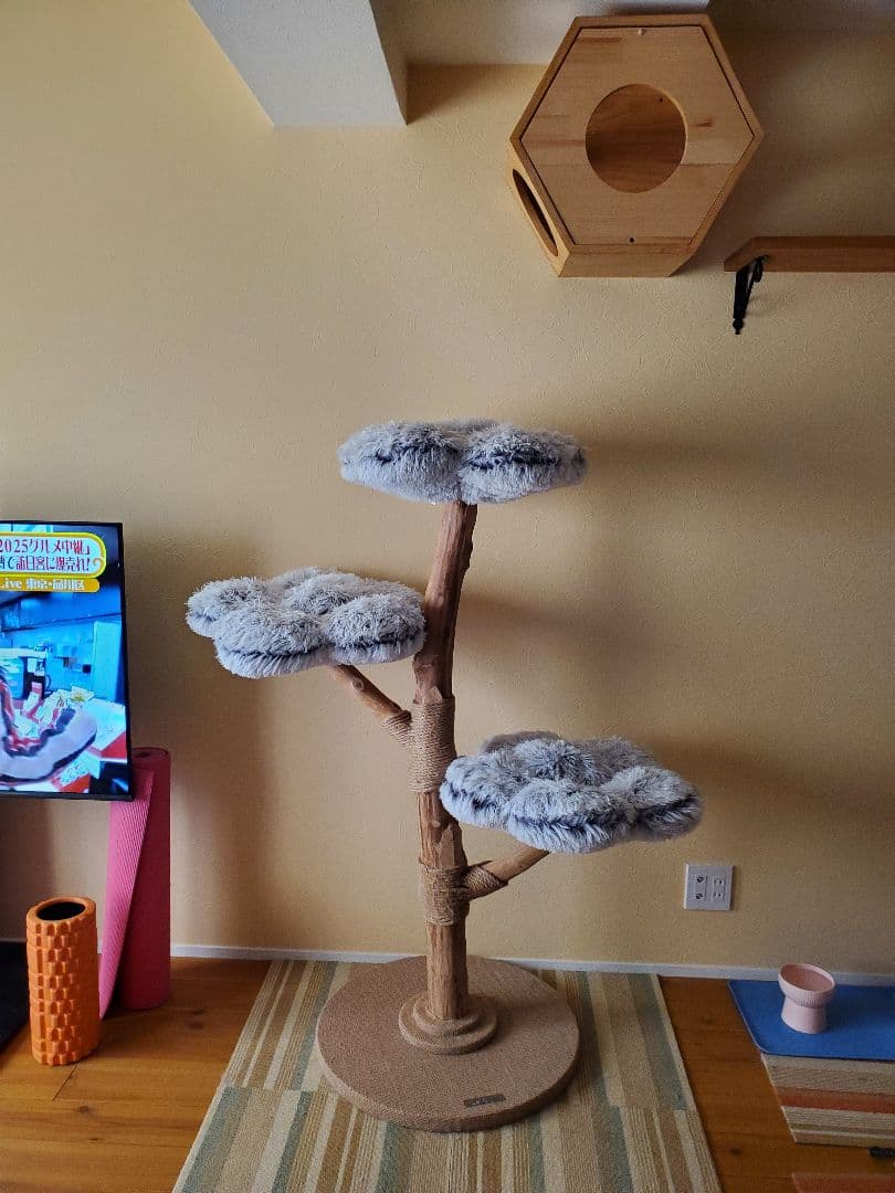 Myunipet無垢材天然木キャットタワー 現状発送　引き取りの場合43000円