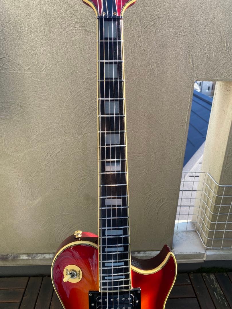 ギター Aria proII PE-DLX