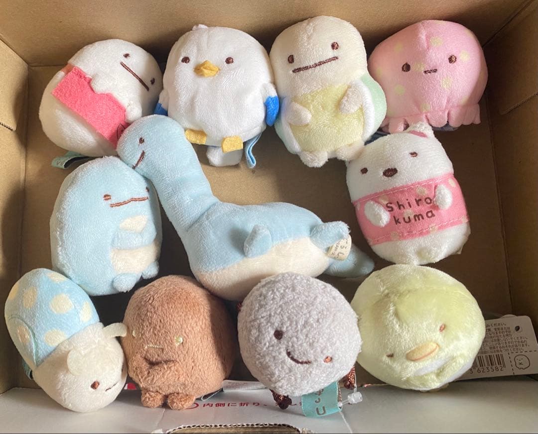 すみっコぐらし ぬいぐるみ うみねこ うみがめ セット