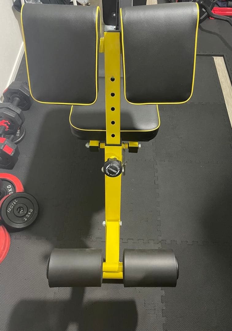 可変式ダンベル32kg＋NUO FLEXBELL 専用スタンド＋ローマンチェア