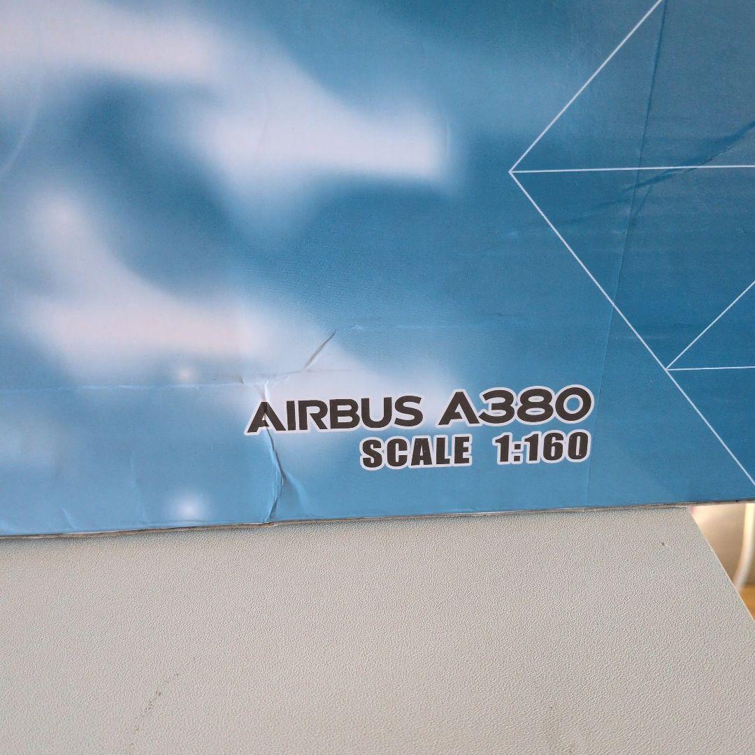 ANAA380フライングホヌ約50cm