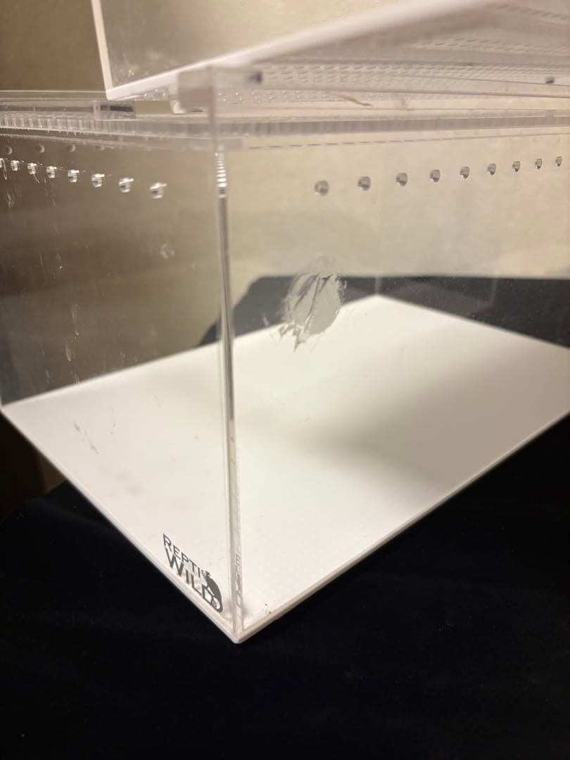 REPTI WILD レプタイルボックス