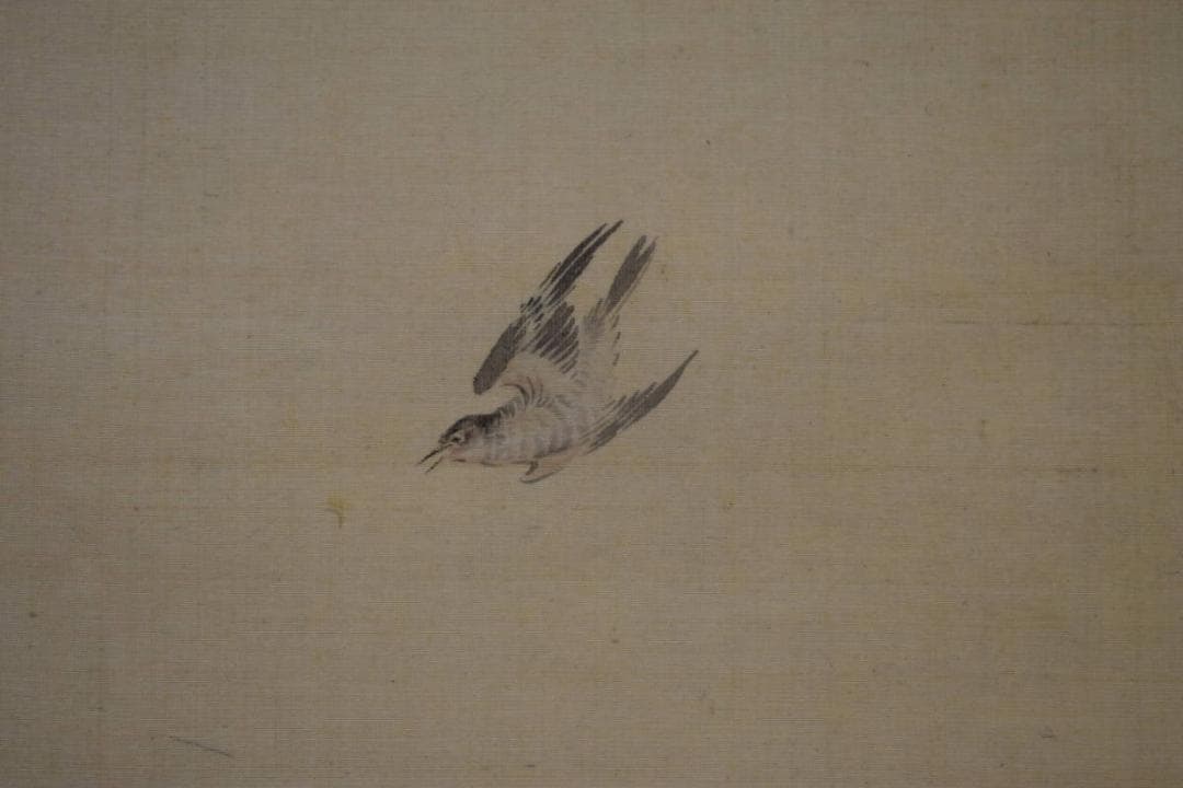 模写/松村景文/五月/人物/カツオ/小禽/藤/桐題箱付/布袋屋掛軸A-39