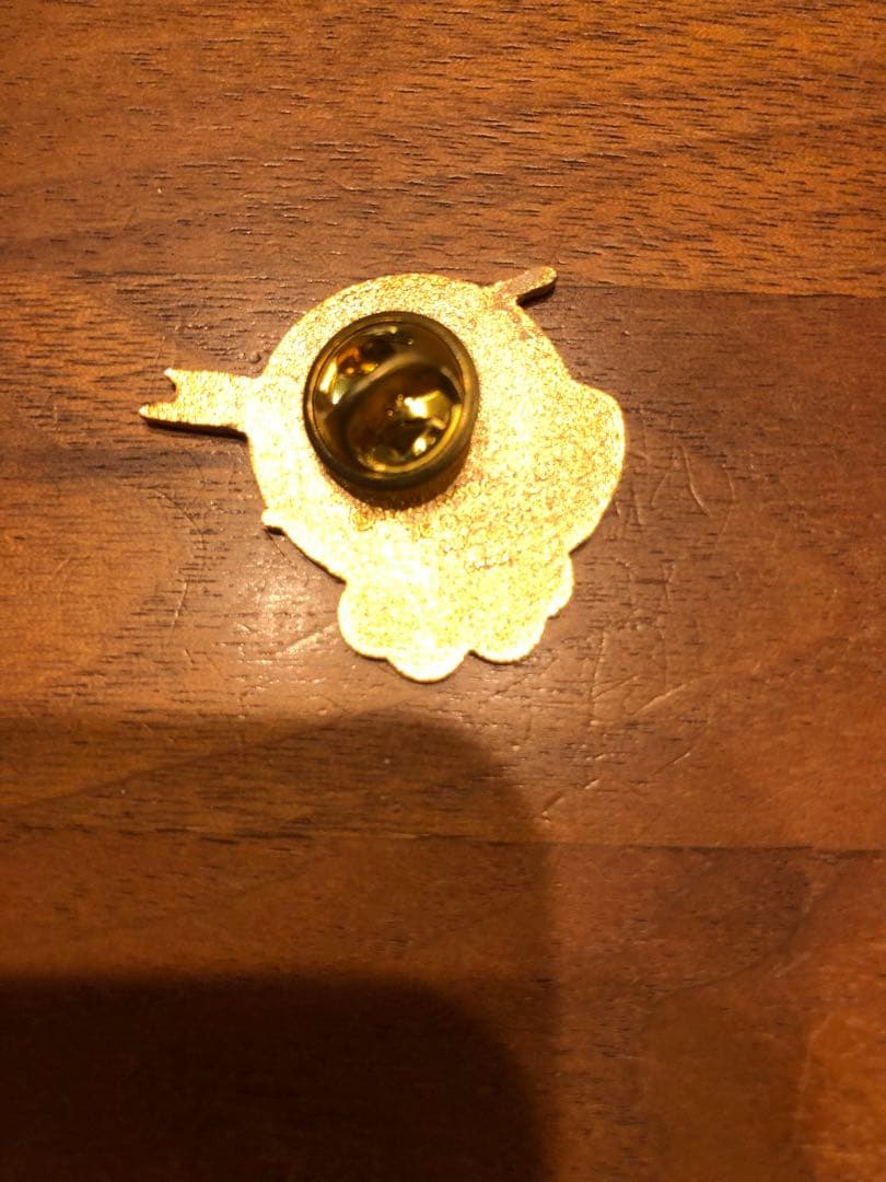 NAGANOオリンピック スケート選手 UPS社ピンバッジ