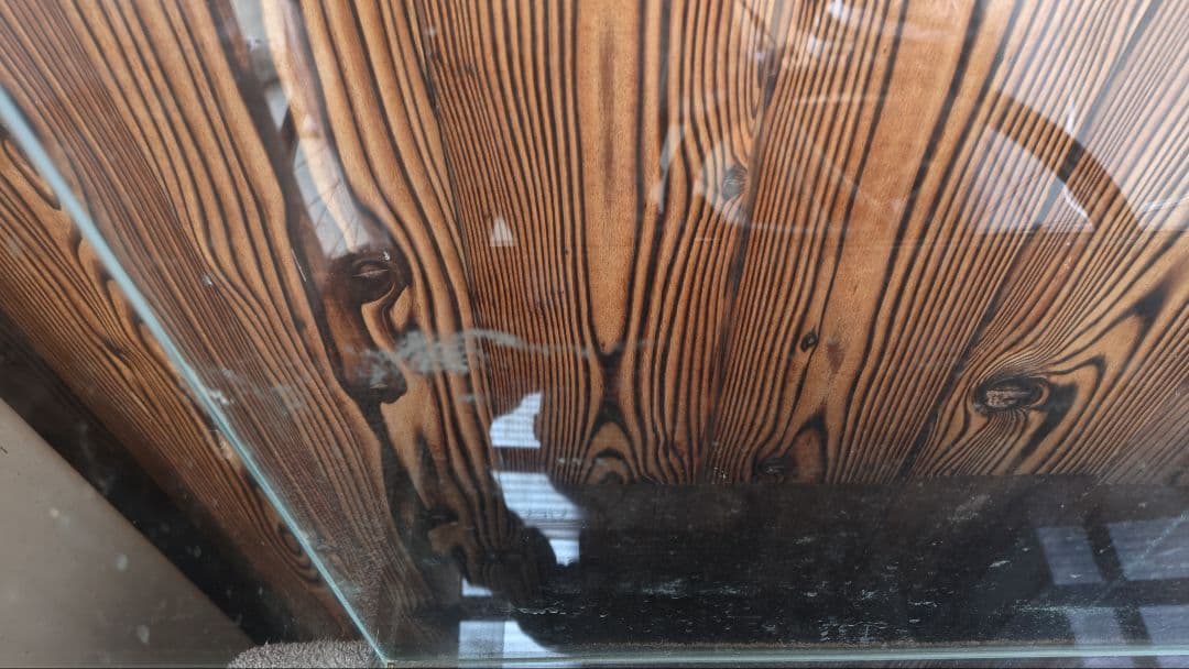 月さん様限定　ガラス水槽と外部フィルターセット