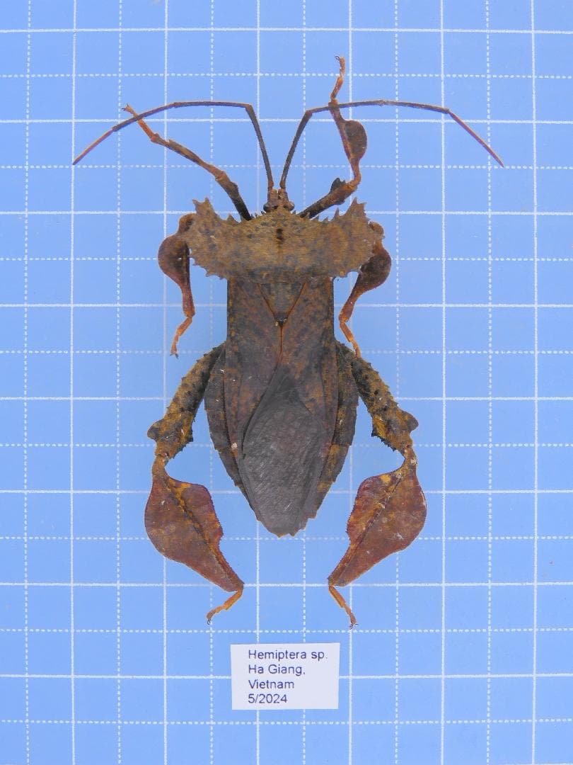 オモニリュック様 リクエスト 4点 まとめ商品