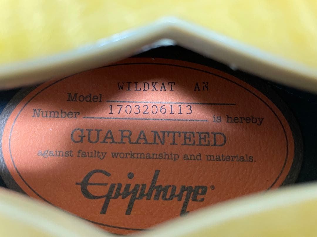Epiphone Wildkat エピフォン　ワイルドキャット
