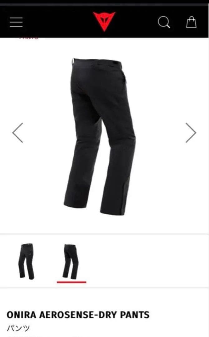 ダイネーゼ　スキーパンツ　大きいサイズ