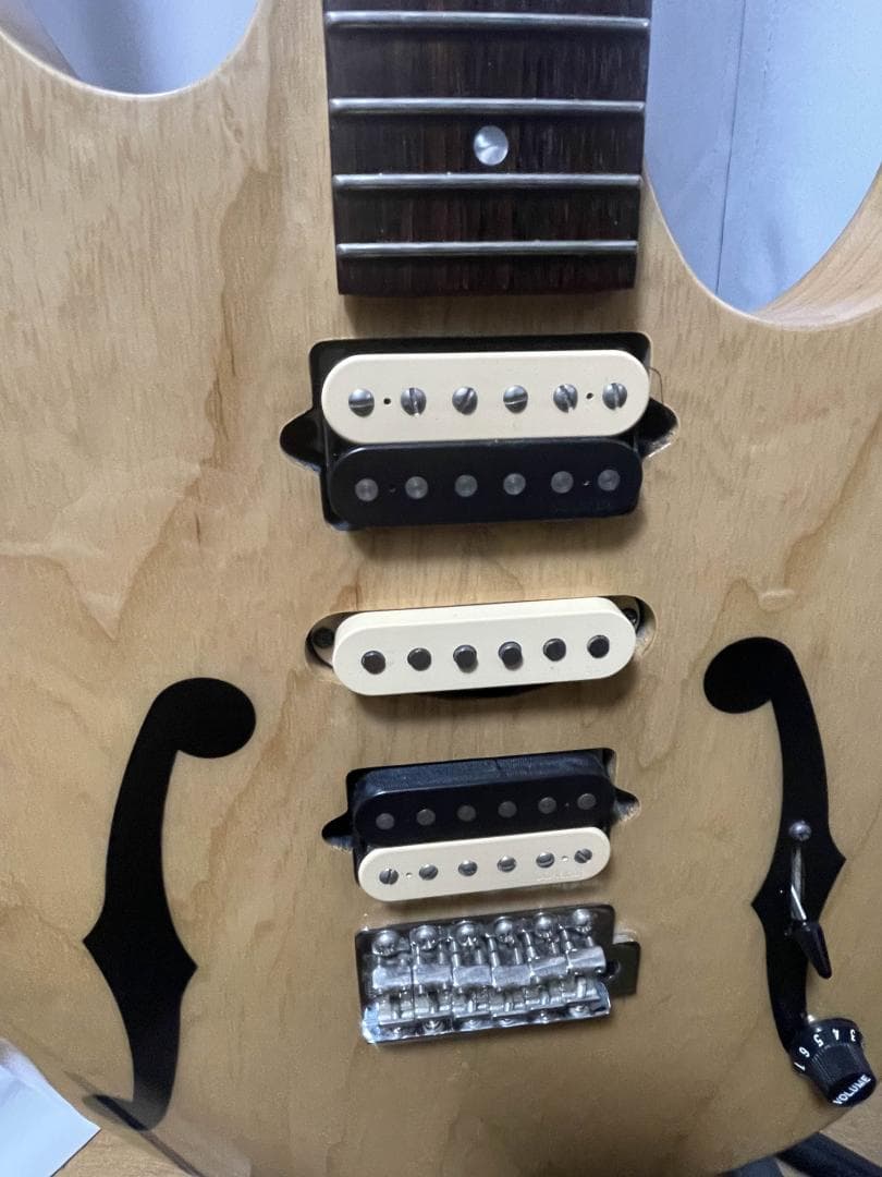 Ibanez PGM80P-NT　ポール・ギルバート　シグネチャー　エレキギター