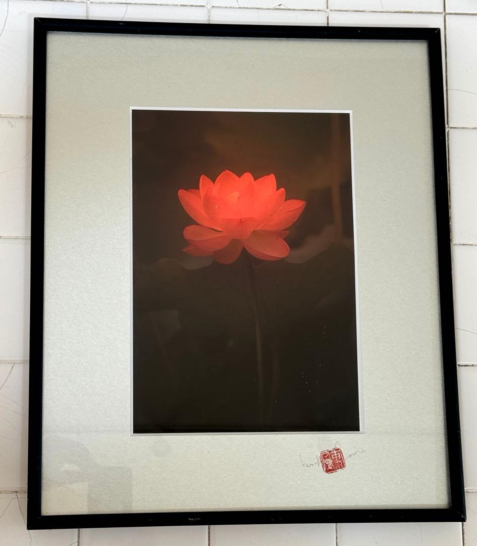 東風終（岩峰啓一）作品『蓮の花／Lotus flower』