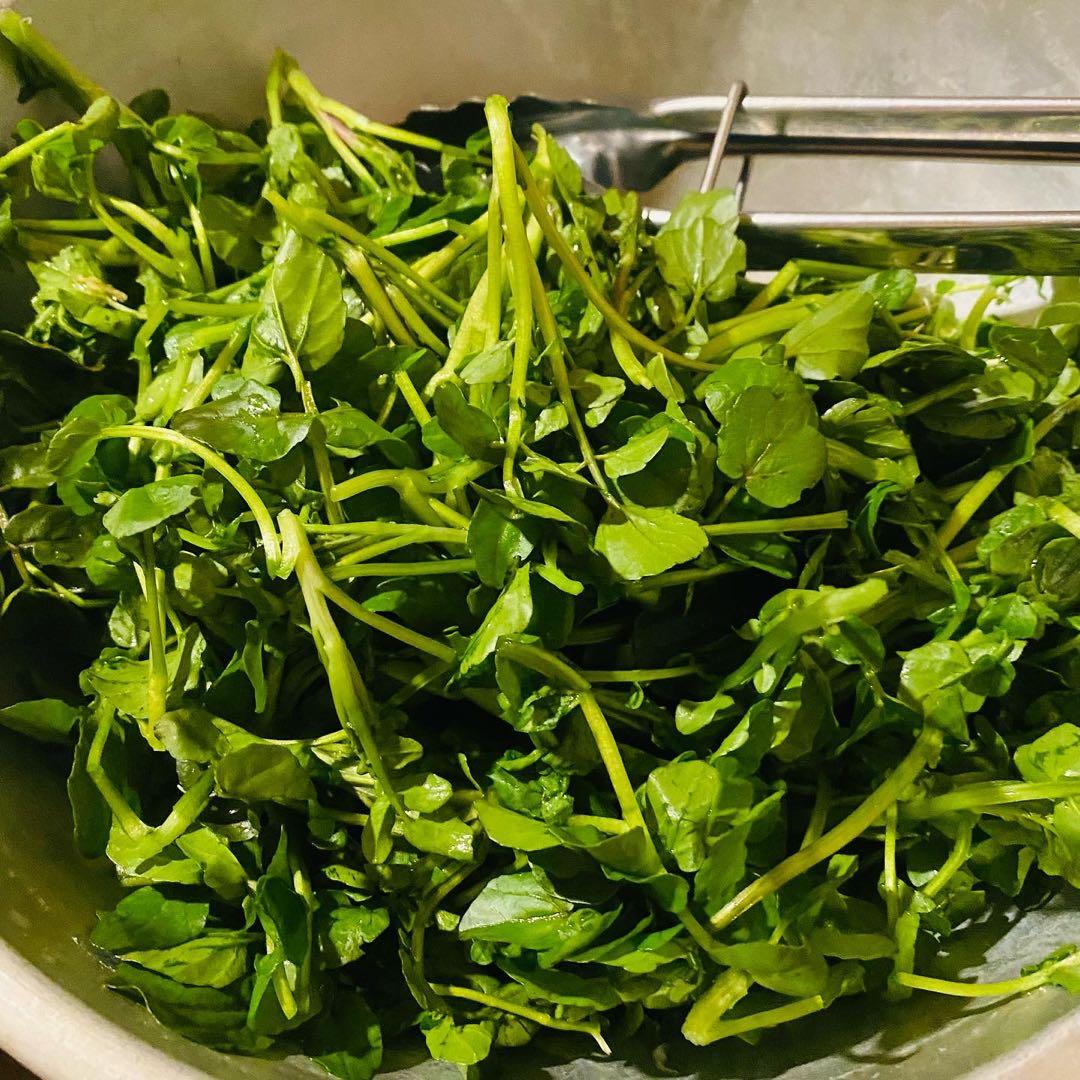 天然湧き水クレソン　10キロ目安　みかん箱2箱分パンパン詰めます　常温発送⚠️