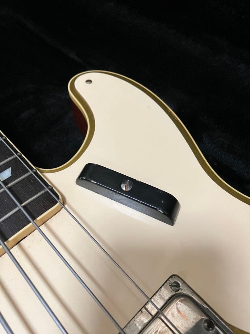 ベース Bruno guitars Telebird