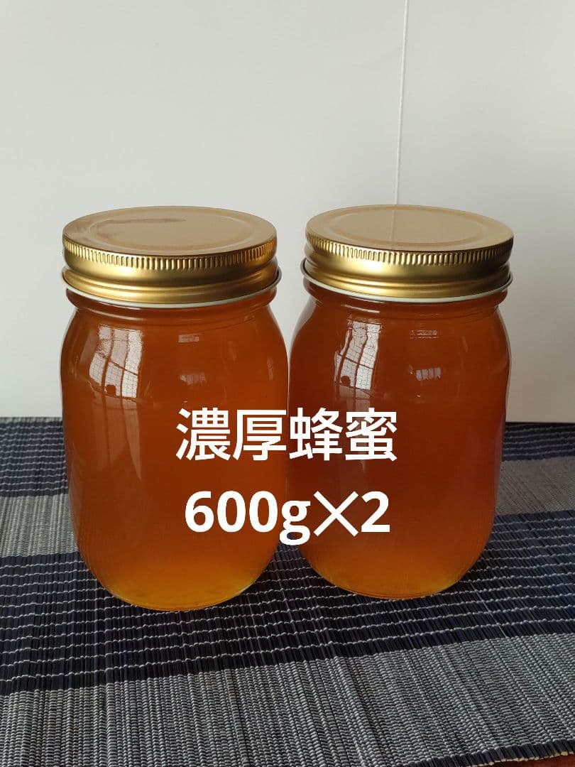日本ミツバチ完熟蜂蜜（秋蜜、600g✕2）