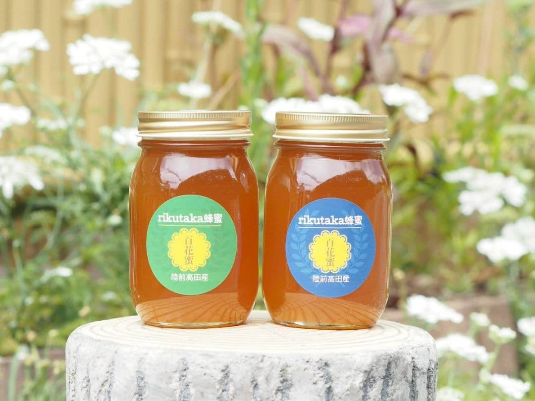 日本ミツバチ完熟蜂蜜（秋蜜、600g✕2）