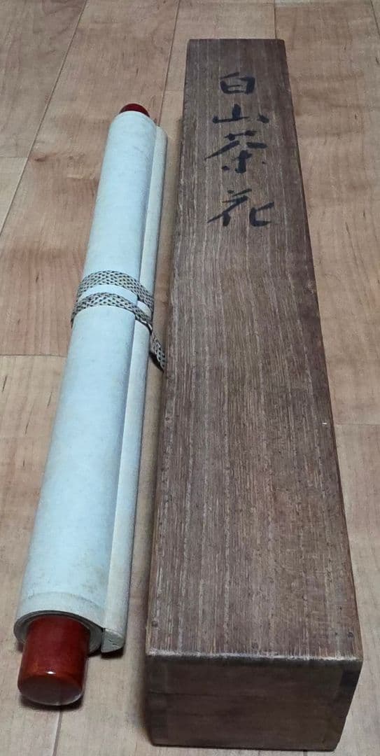 【白山茶花図】藤井浩裕 2721 彫刻家 共箱 掛け軸 肉筆