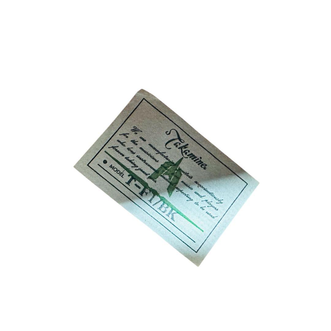 TAKAMINE タカミネ　アコースティックギター　T-F1