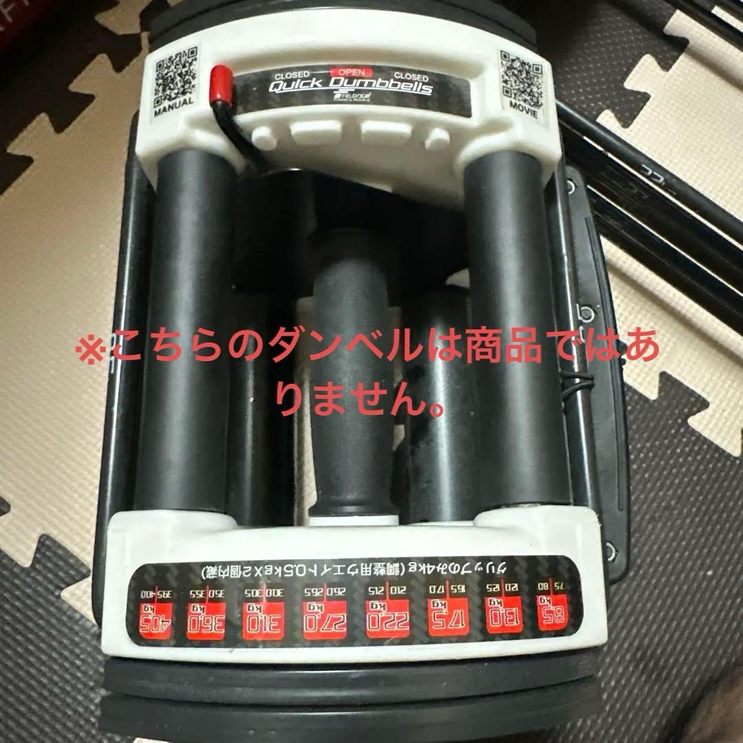 FILEDOOR 22kg-40.5kg プレートのみ　計23kg 2個セット