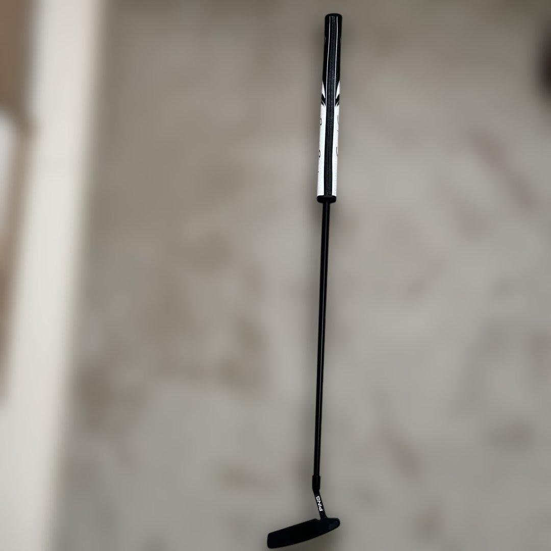 PING ANSER 2D パター